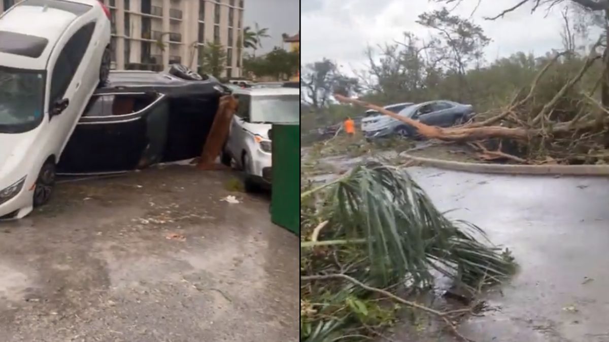 Cars Flip, Trees Uproot As Powerful Tornado Hits Florida's Palm Beach